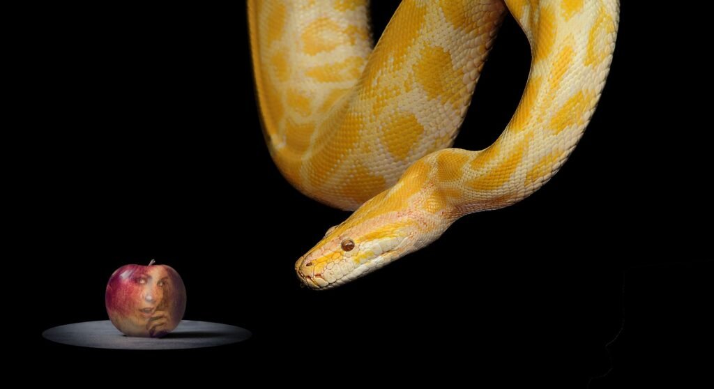 snake-1322240_1920